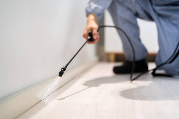 Licensed Exterminator service in San Felipe Pueblo, NM - Show Me Pest Control